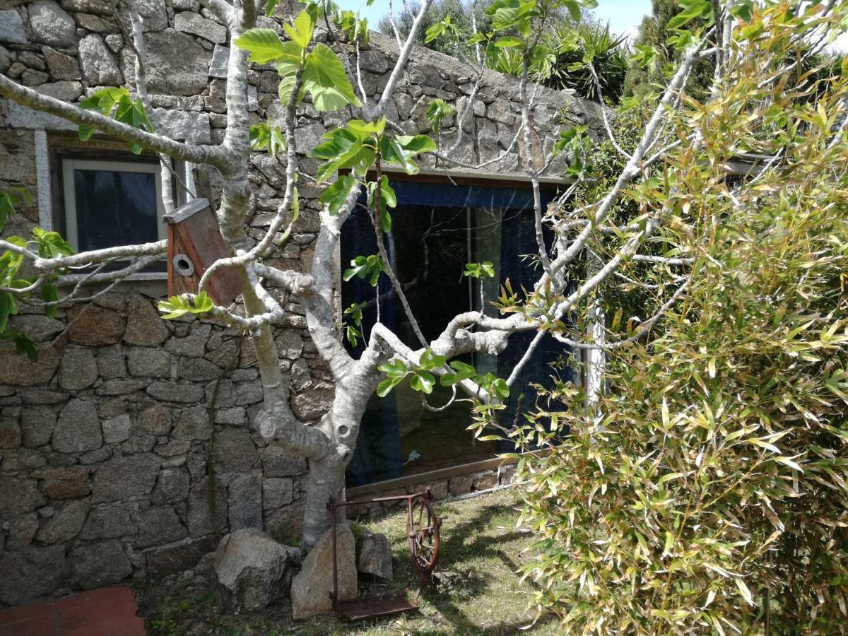 Agriturismo La Valletta Hotel Santa Teresa Gallura Kültér fotó